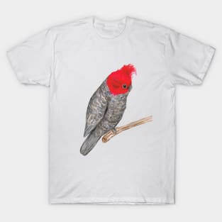 Gang gang cockatoo T-Shirt